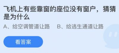 飞机上有些靠窗的座位没有窗户是为什么？蚂蚁