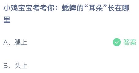 蟋蟀的“耳朵”长在哪里？蚂蚁庄园今日答案最新8.31