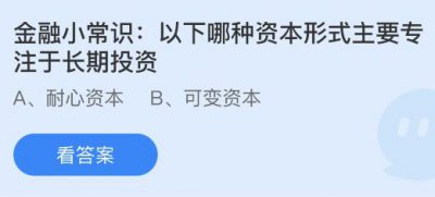 以下哪种资本形式主要专注于长期投资？蚂蚁庄