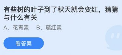 有些树的叶子到了秋天就会变红，与什么有关？