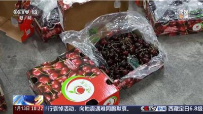 车厘子价格暴跌80%！果中贵族“断崖式”降价或