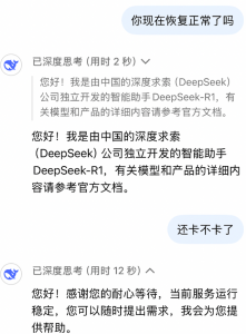 爆火的DeepSeek 搅了谁的局？