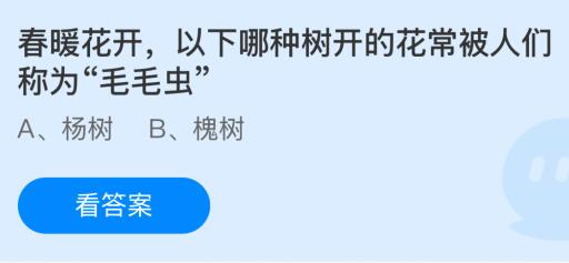 春暖花开，以下哪种树开的花常被人们称为“毛毛虫”？蚂蚁庄园课堂答案最新2月27日