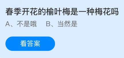春季开花的榆叶梅是一种梅花吗？蚂蚁庄园今日答案最新3.6