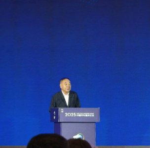 商务部原副部长陈健：汽车行业需