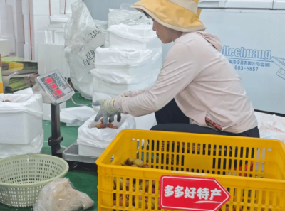 荔枝保鲜革命：拼多多“千亿扶持