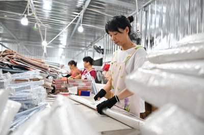 小包裹里的大国经济活力