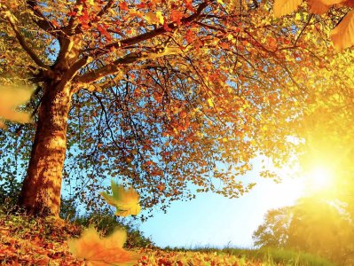 铁路通过积分加倍、权益扩容等方式 增强旅客获