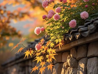 潍烟高铁绘就半岛新图景