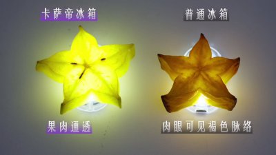 冰箱保鲜“鹰眼”挑战：中网合作伙伴卡萨帝唯