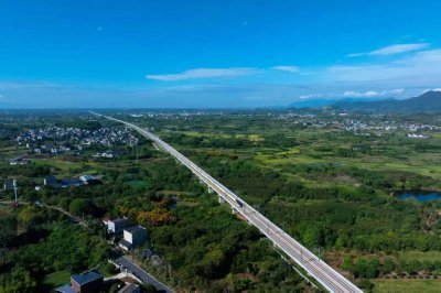 团体票电话服务便民初衷尤赞,但优化之路仍长