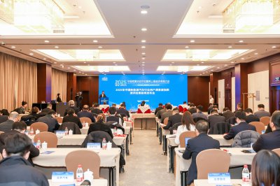 2025年中国新能源汽车行业用户满意