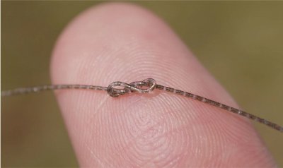 复旦团队研制世界首款纤维芯片 可