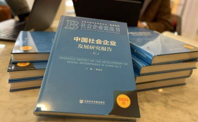 社会企业蓝皮书《中国社会企业发展研究报告N