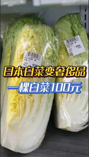 一颗白菜将近百元 日本物价为何突然暴涨？