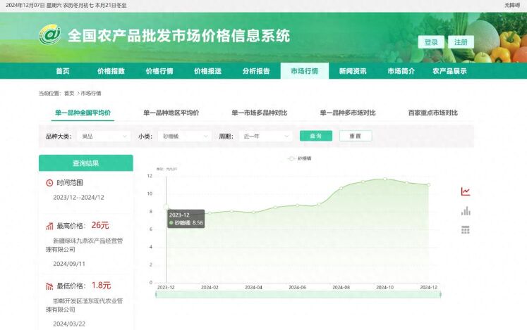 涨价近三成!今年第一次买就惊呆了 砂糖橘变身“
